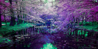 Purple Dream image 0