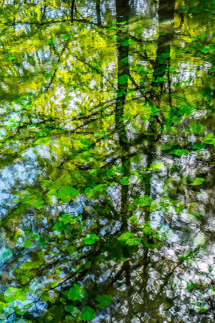 REFLEJO DE MEDIA LUNA image 0