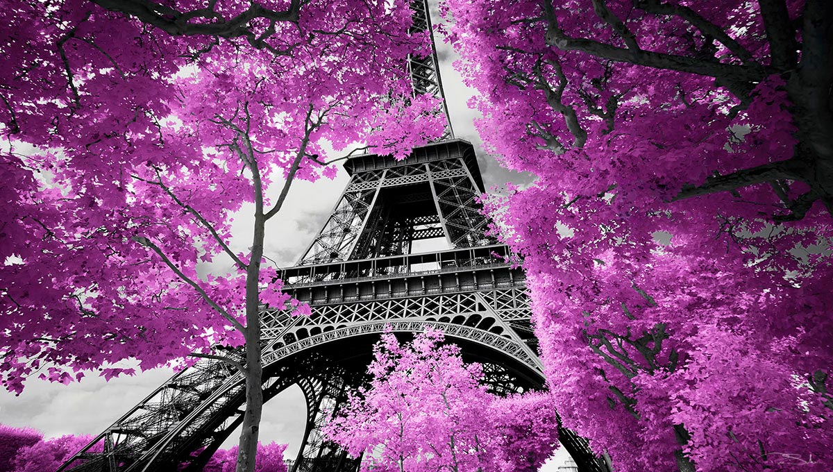 LADY IN PINK image 0