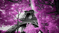 LADY IN PINK image 0