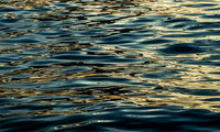 Golden Waves image 0
