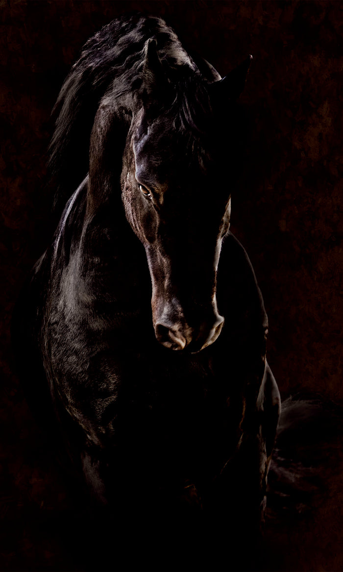 MAXIMUS image 0