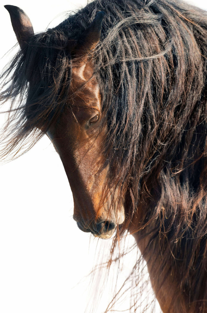 Viento image 0