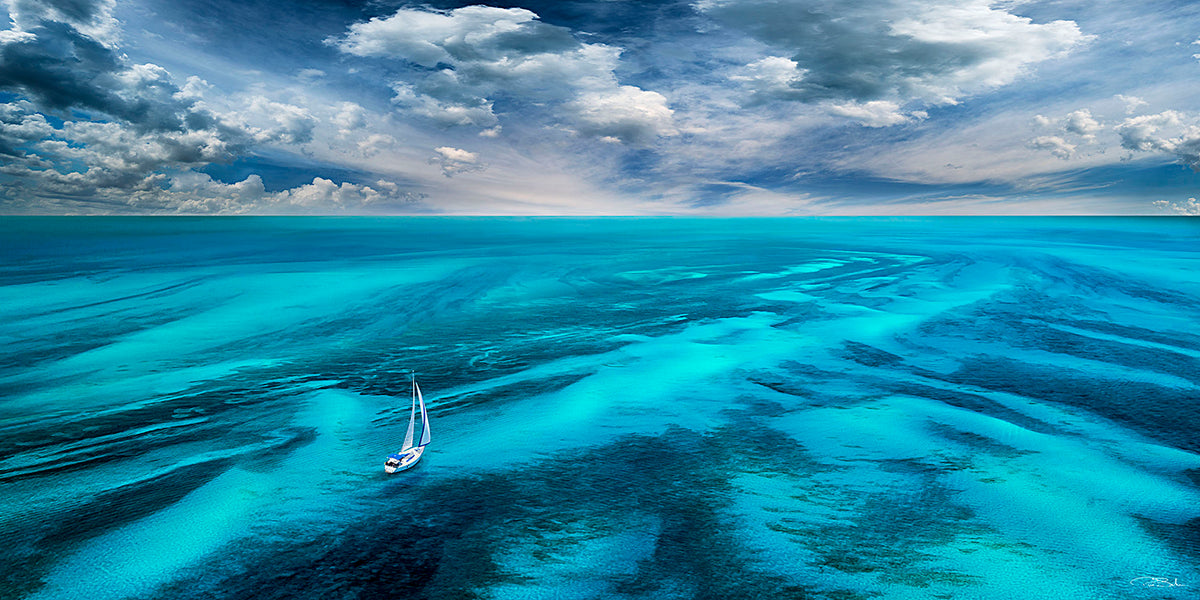 A  NEW BEGINNING image 0
