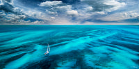 A  NEW BEGINNING image 0