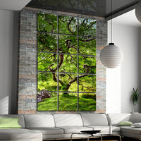 JAPANESE TREE
