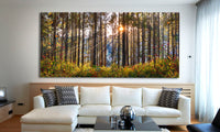 SACRED FOREST